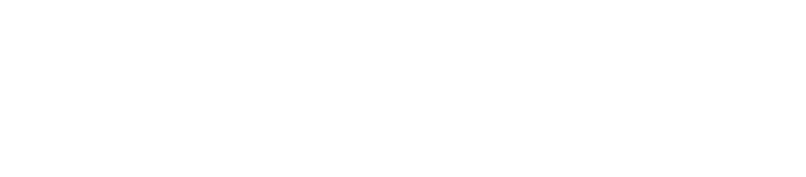 BizzOS