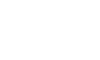 Bolt Business